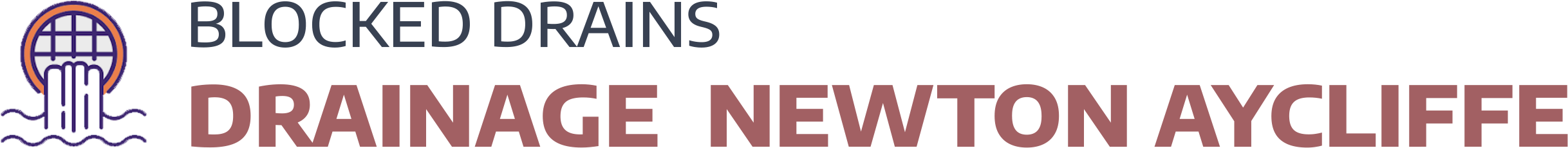website logo